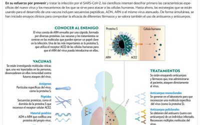 La carrera contrarreloj frente al nuevo coronavirus
