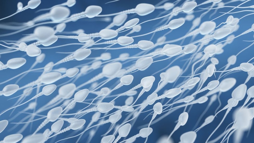 trastornos del semen por sexologos valencia Trastornos en el semen